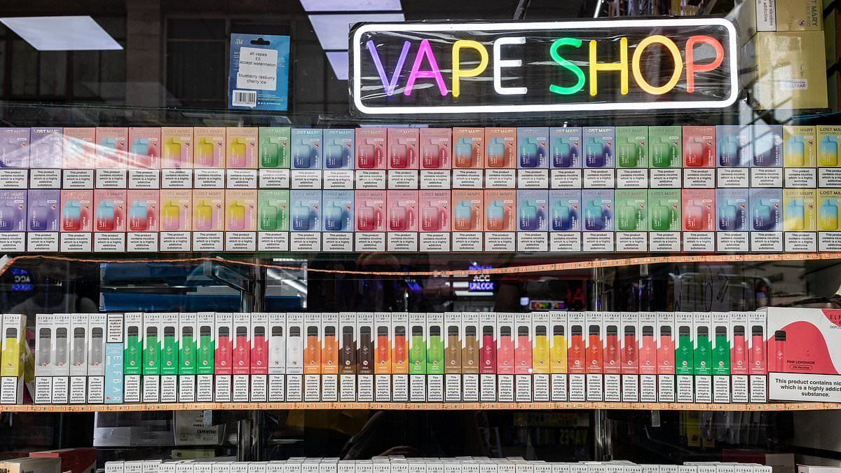 一次性電子煙商店 一次性電子煙商店